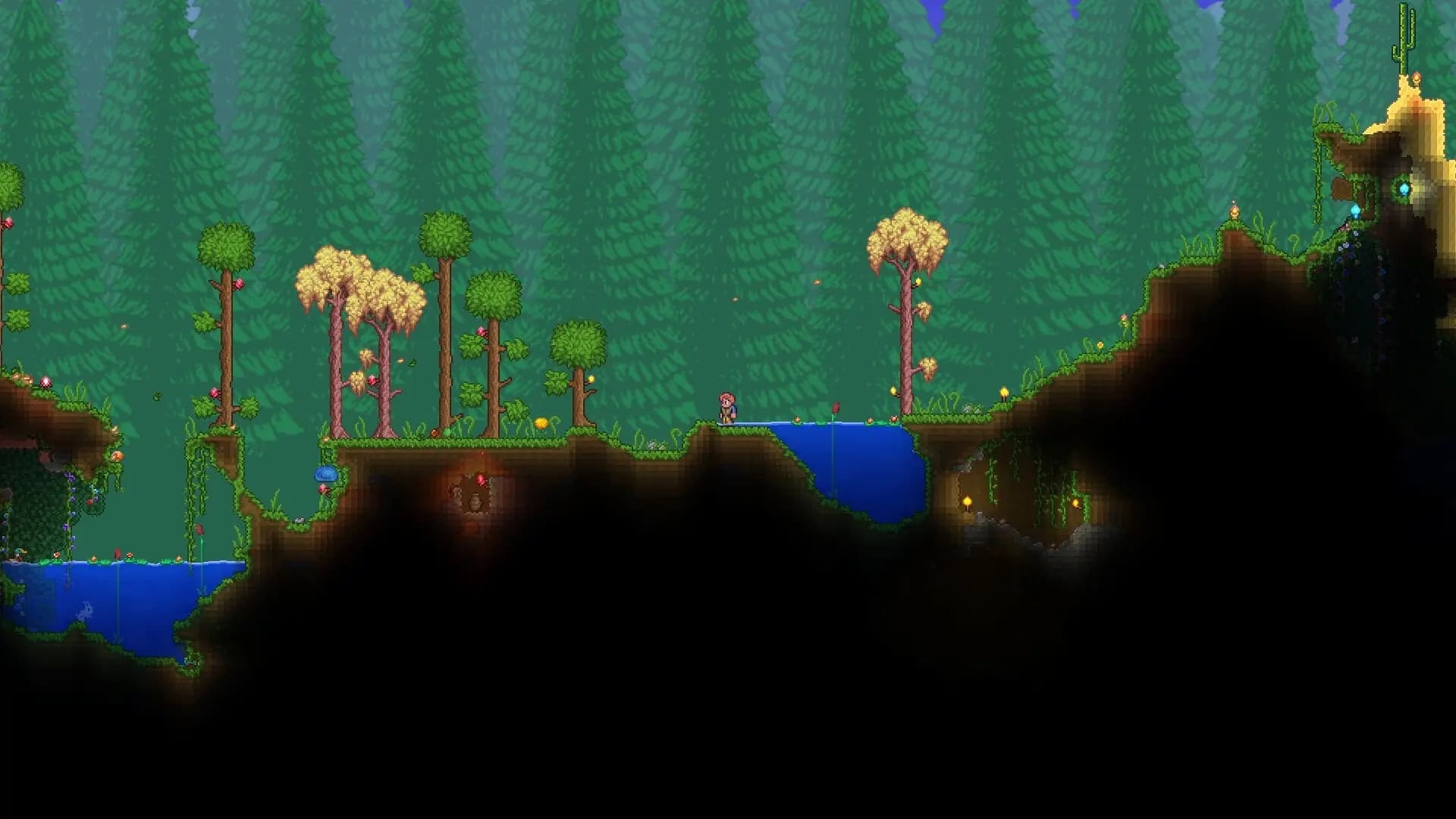 Banner for terraria