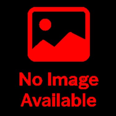 Albion Online Silver