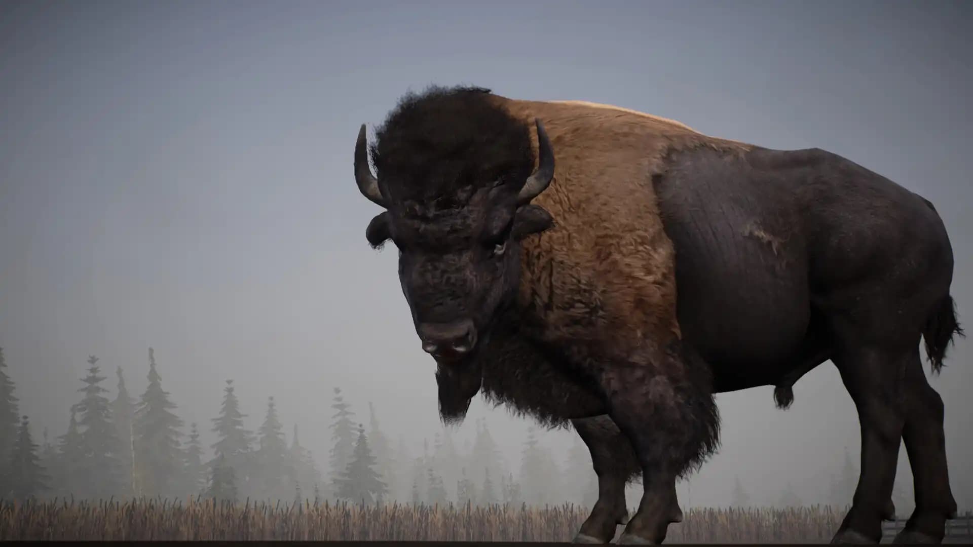 Alaskan Road Truckers media 2