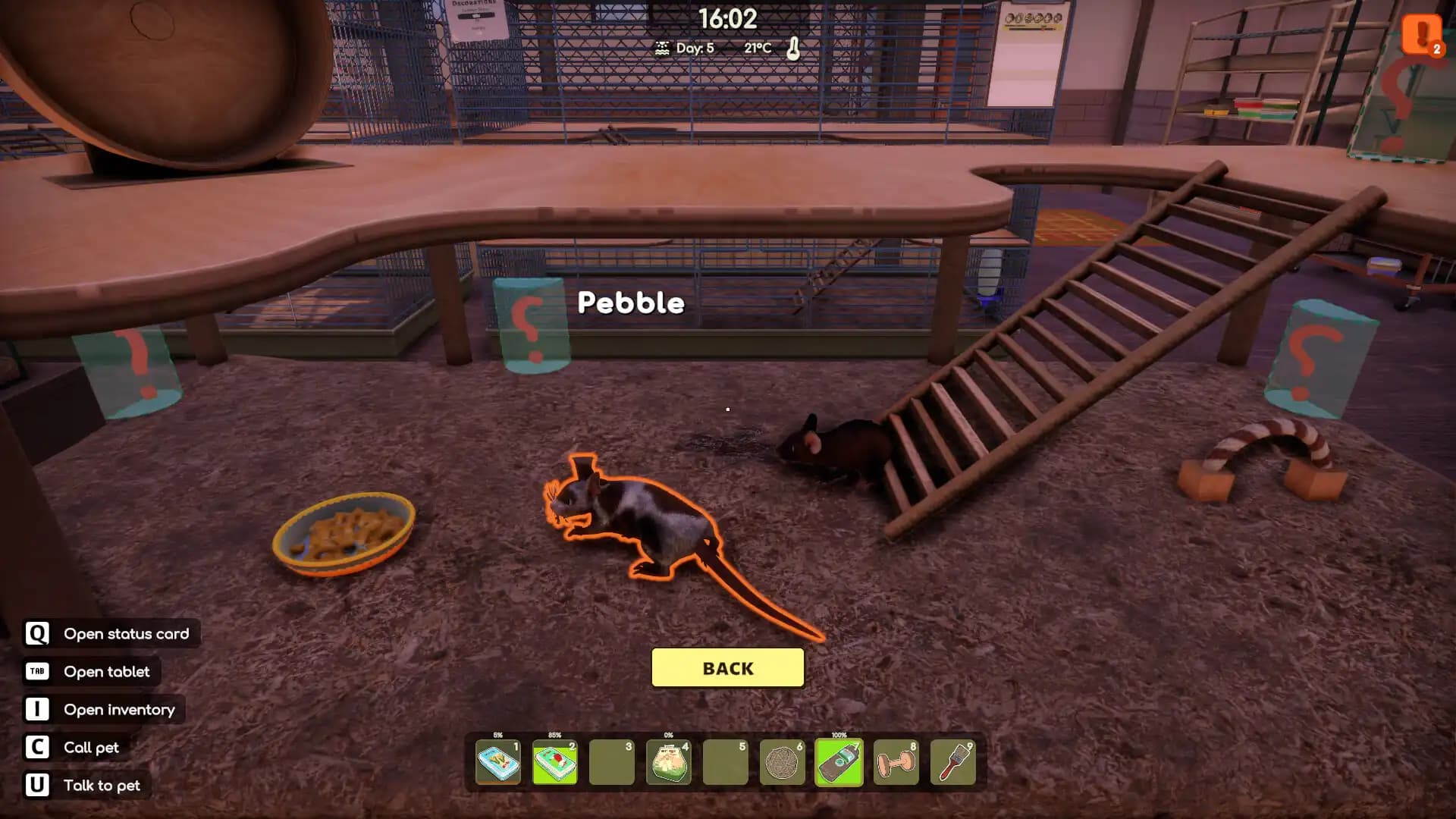 Animal Shelter 2 - Little Friends media 3