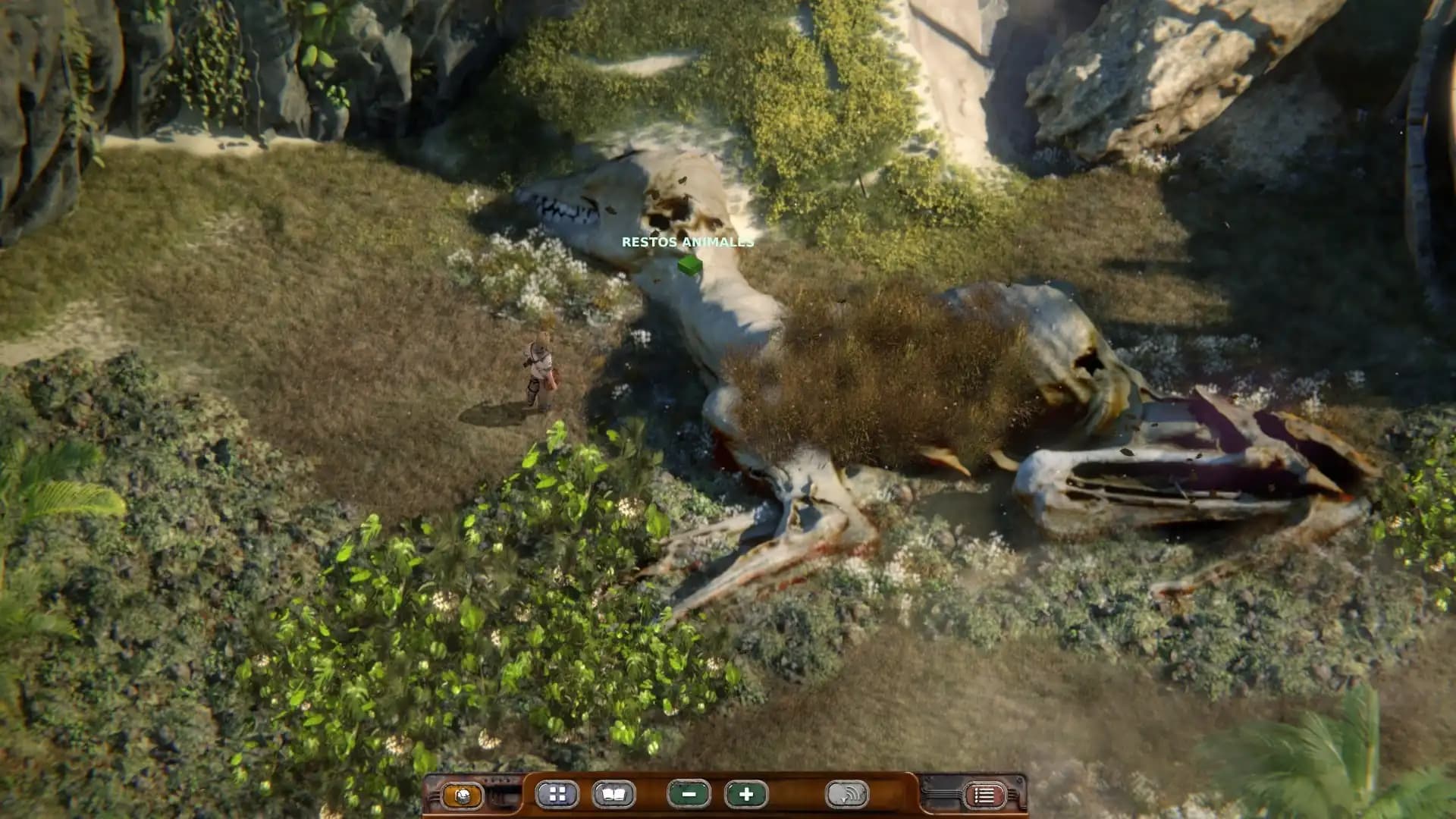 Beautiful Desolation media 4