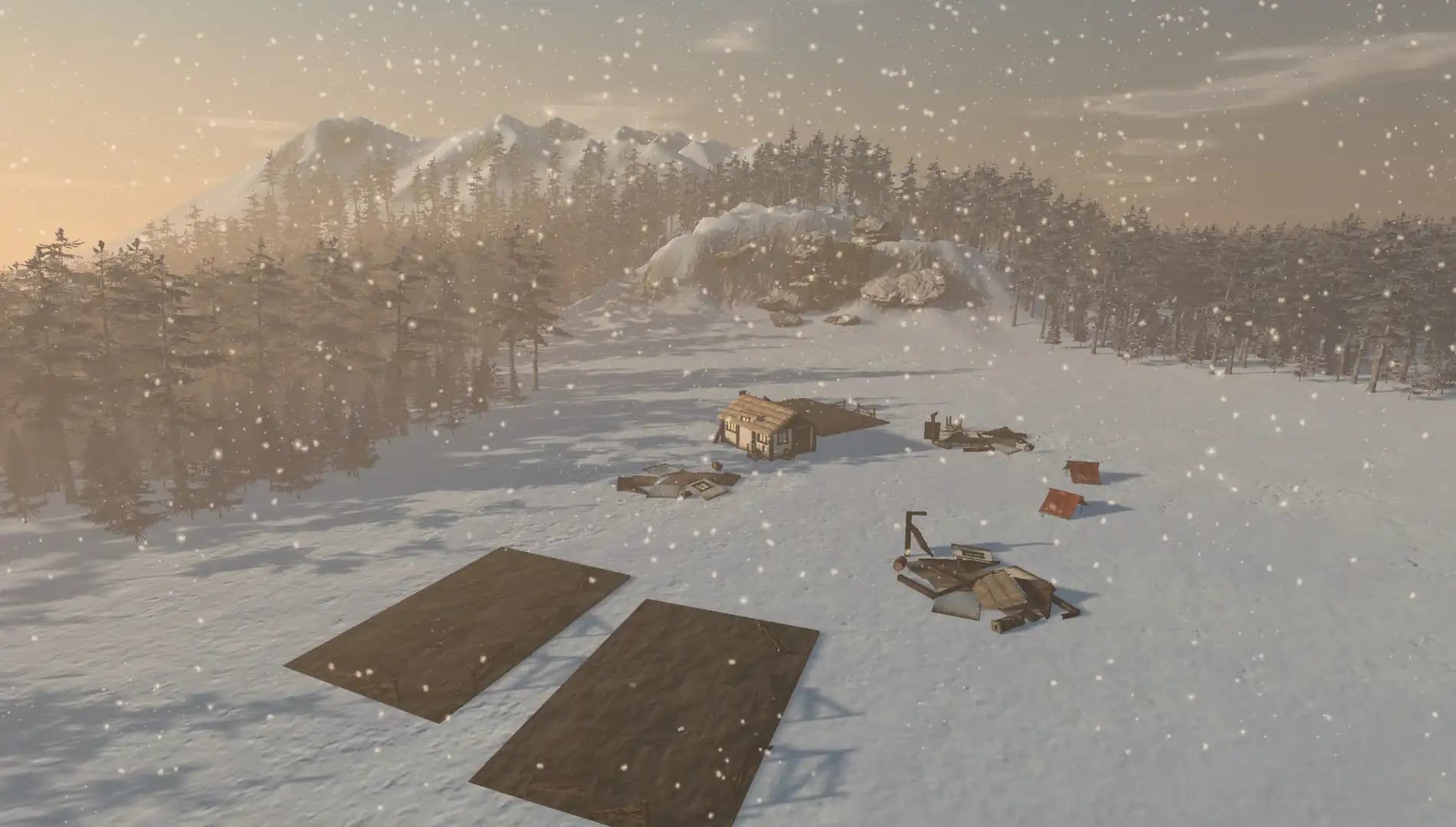 Black Forest media 2