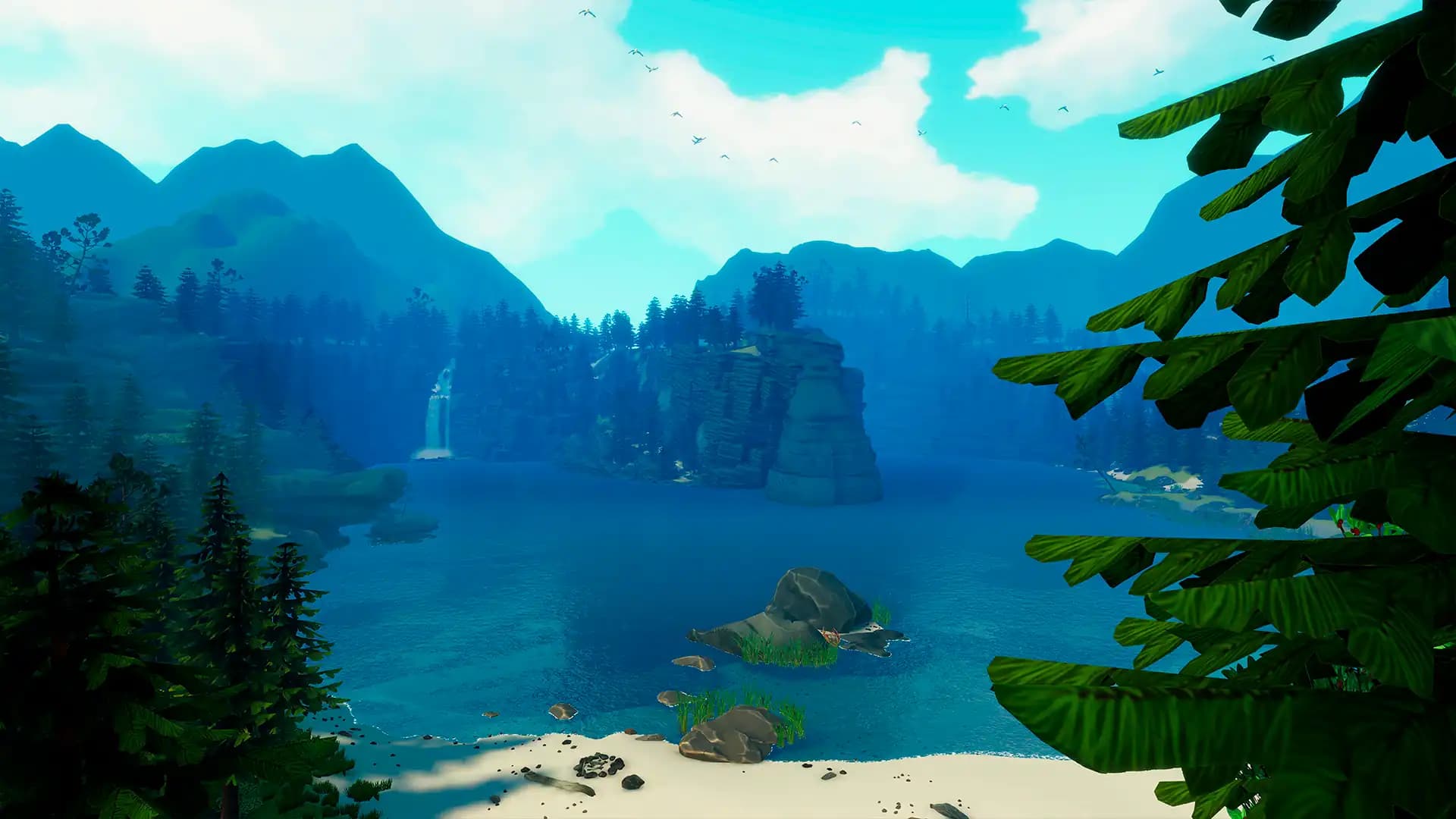 Catch & Release media 7