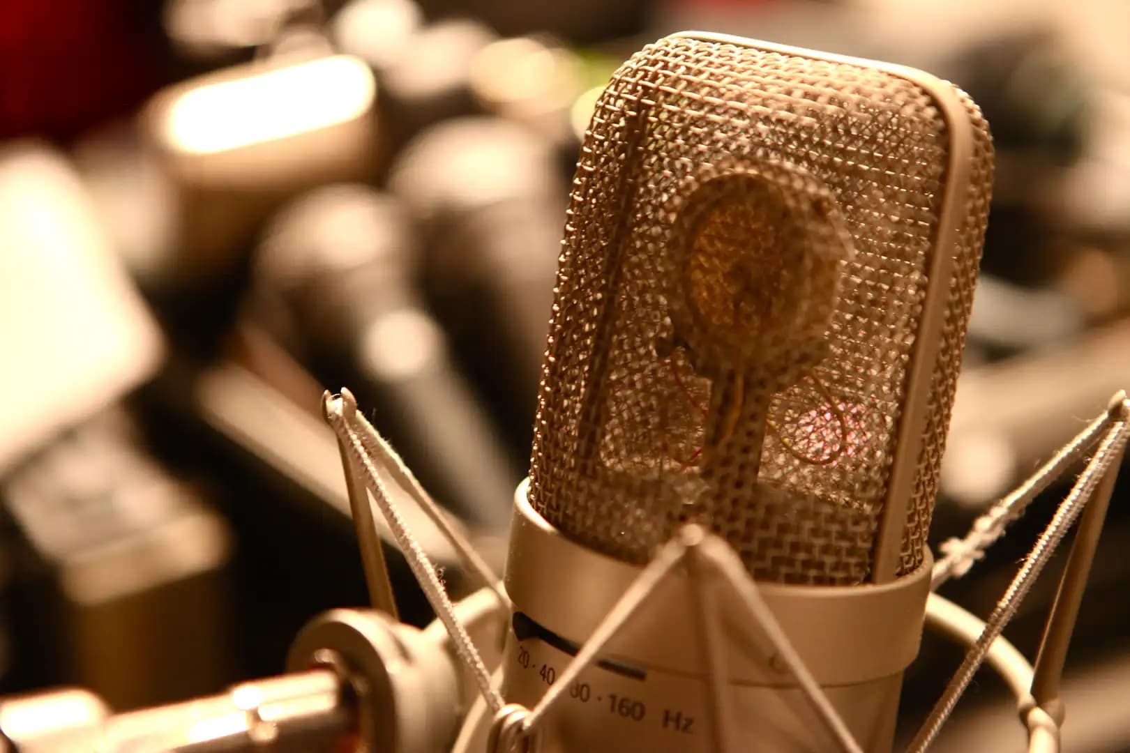 Crusader Kings II: Full Plate Metal media 4