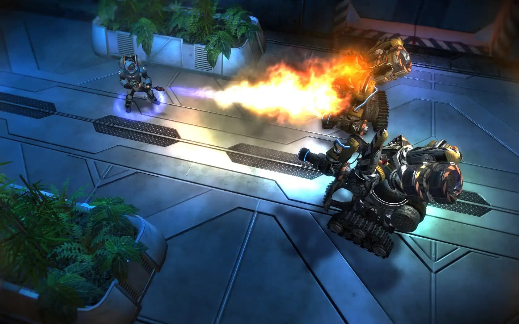 Greed: Black Border media 2