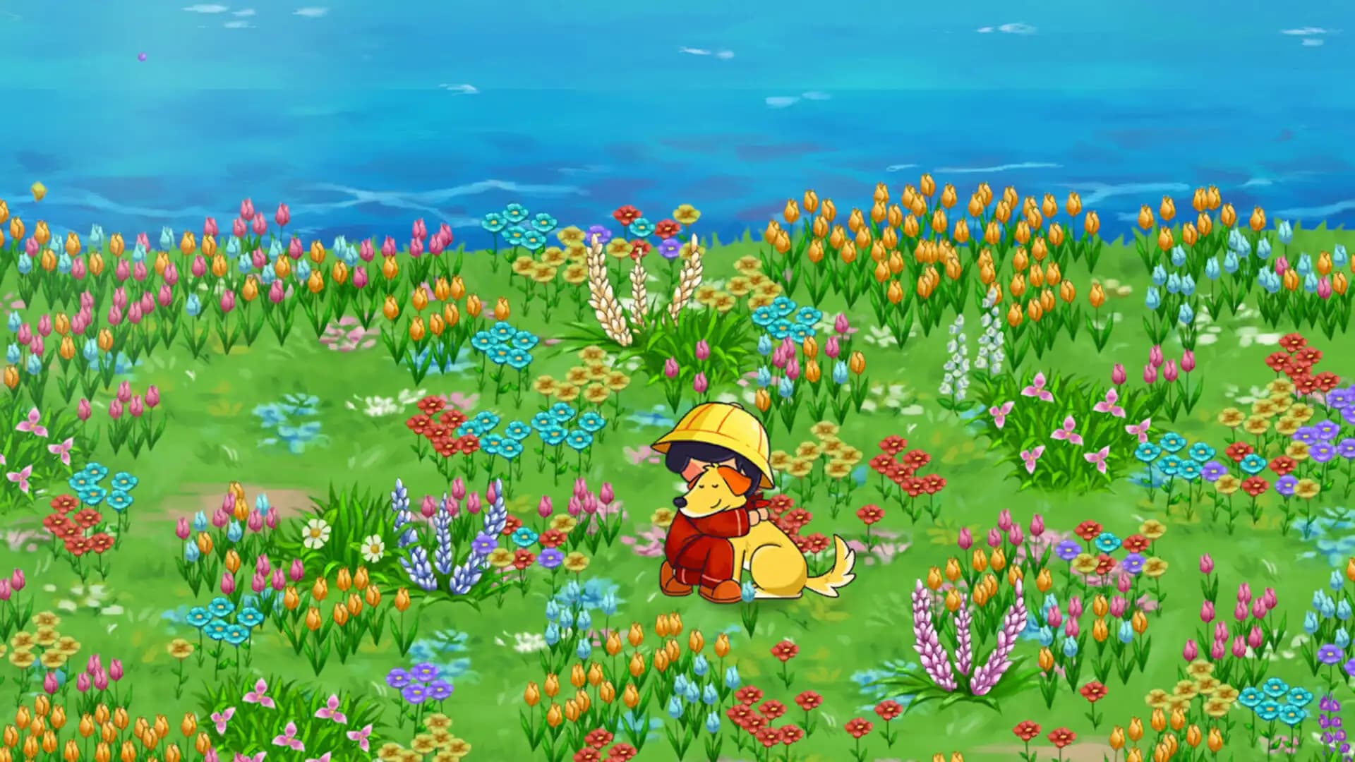 Hello Goodboy media 6