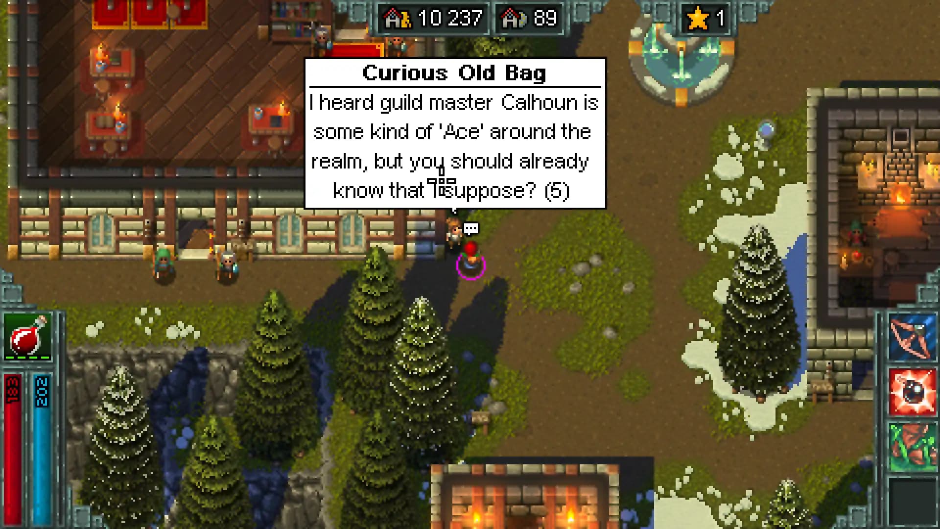 Heroes of Hammerwatch media 6