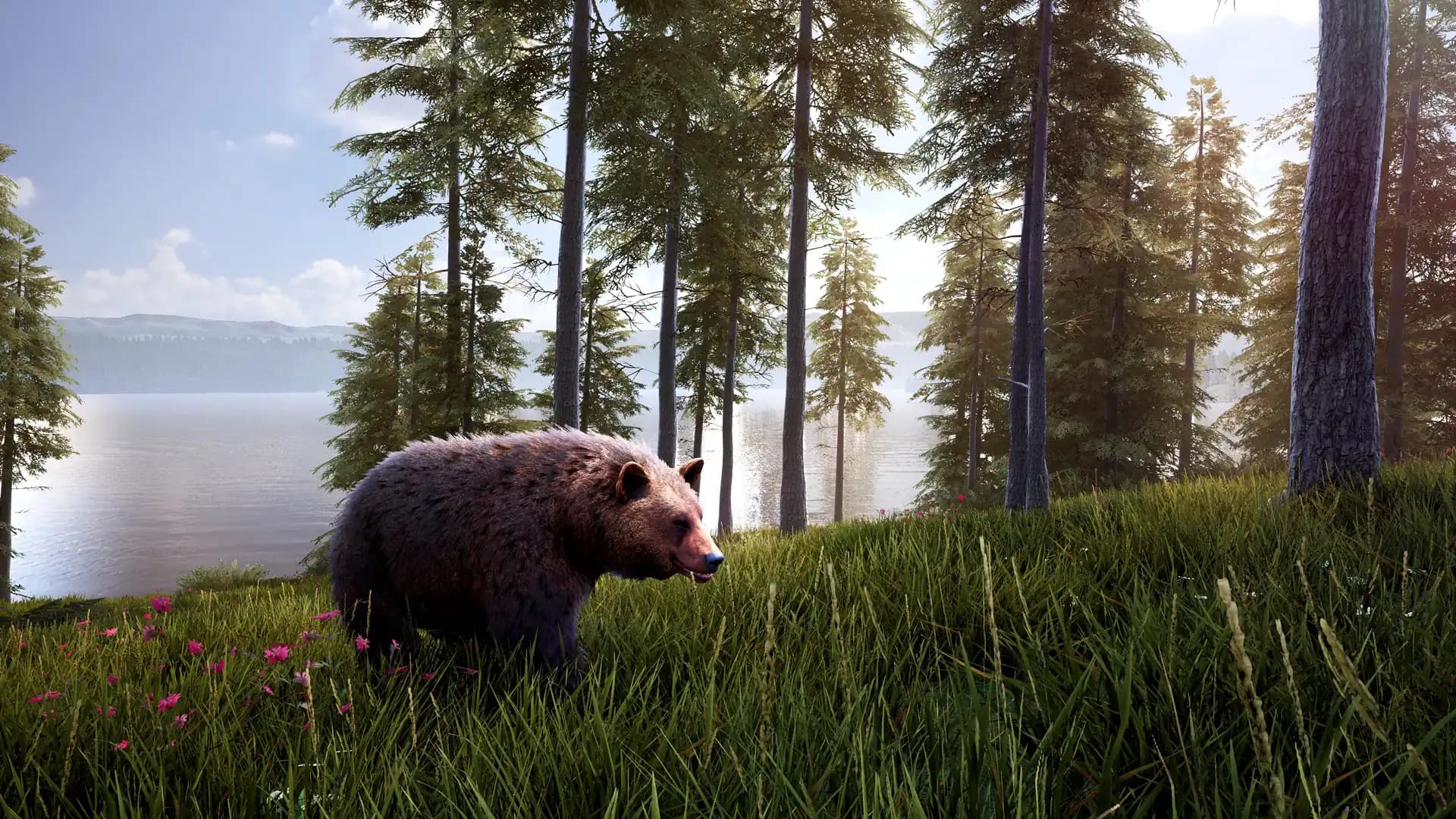 Hunting Simulator 2 Bear Hunter Pack media 1
