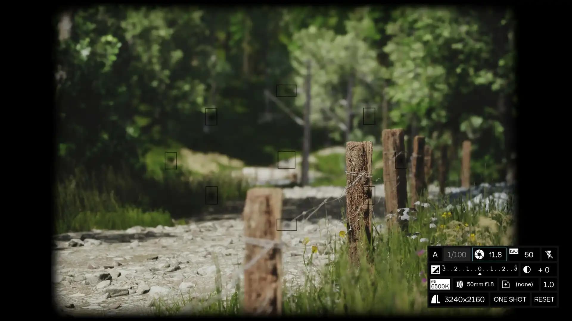 Lushfoil Photography Sim media 4