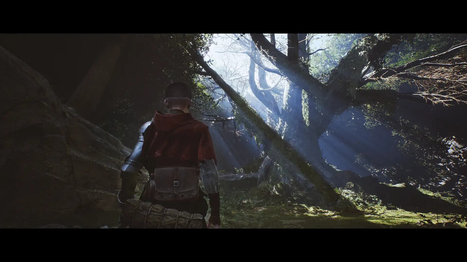 1348 Ex Voto Deluxe Edition media 5