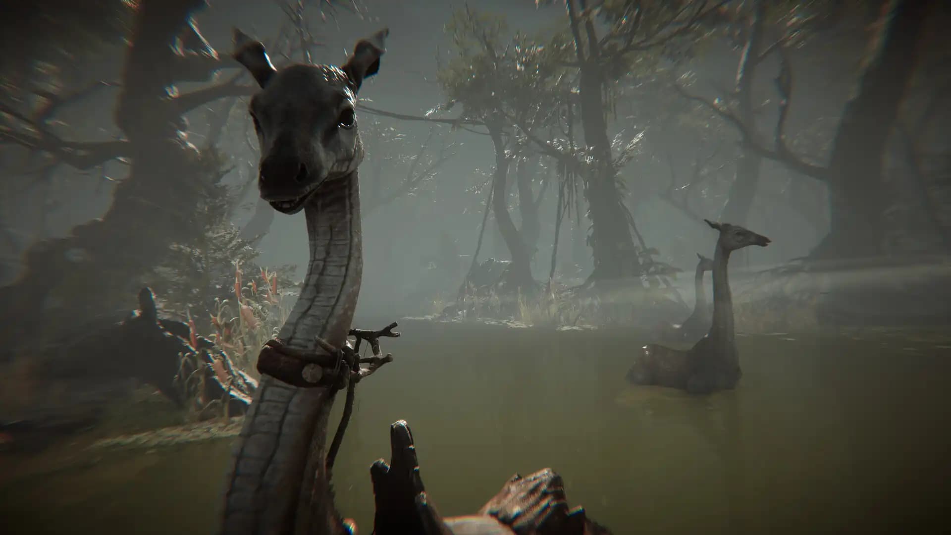 Amerzone - The Explorer's Legacy media 5