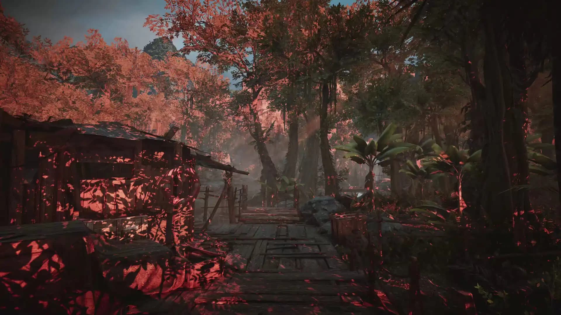 Amerzone - The Explorer's Legacy media 2