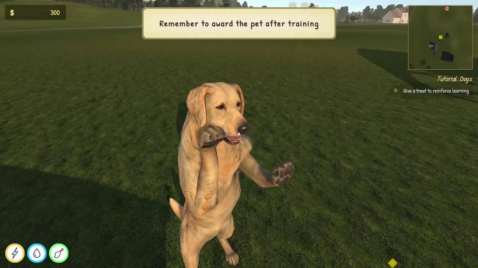 Animal Trainer Simulator media 5