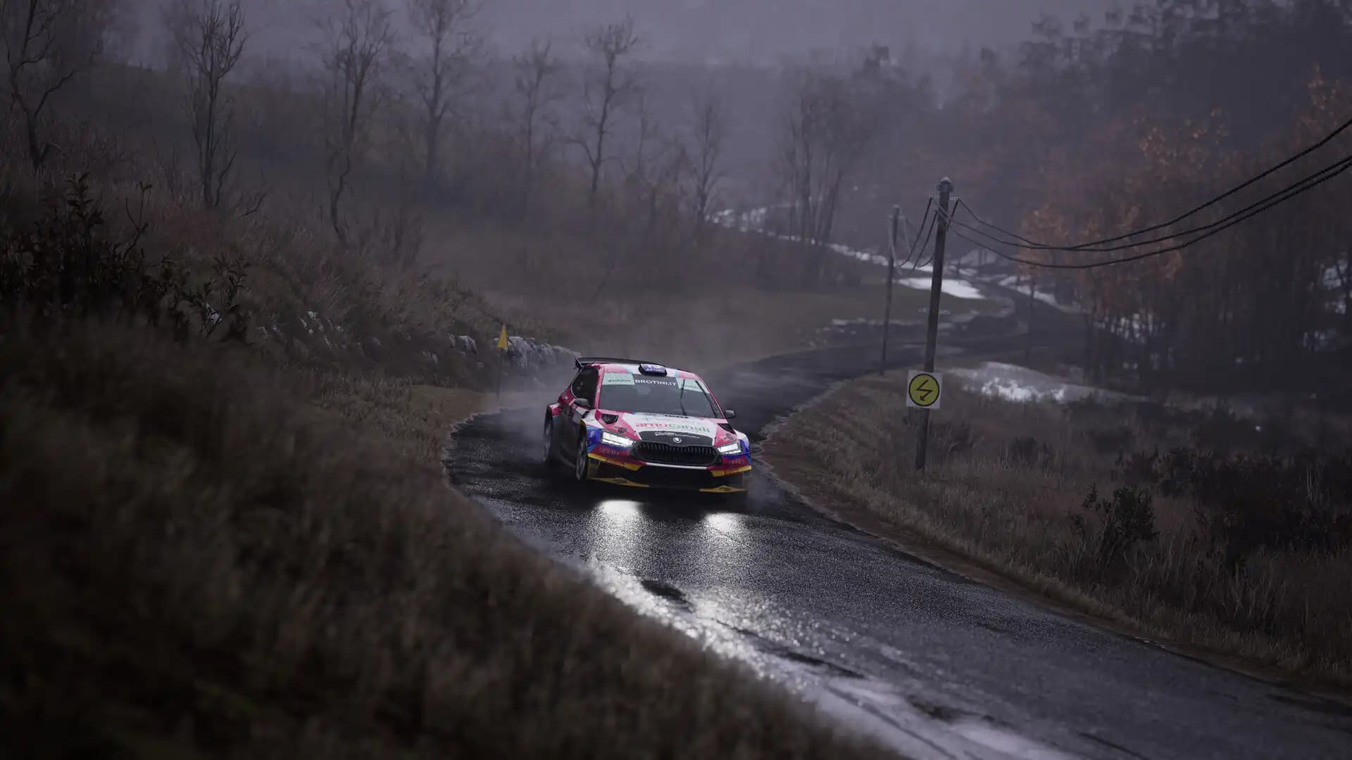 Assetto Corsa Rally media 5