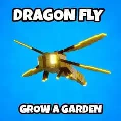 ‼️ FAST DELIVERY ‼️DRAGON FLY ‼️GROW A GARDEN PET ‼️ THROUGH TRADE ‼️ ORDER NOW