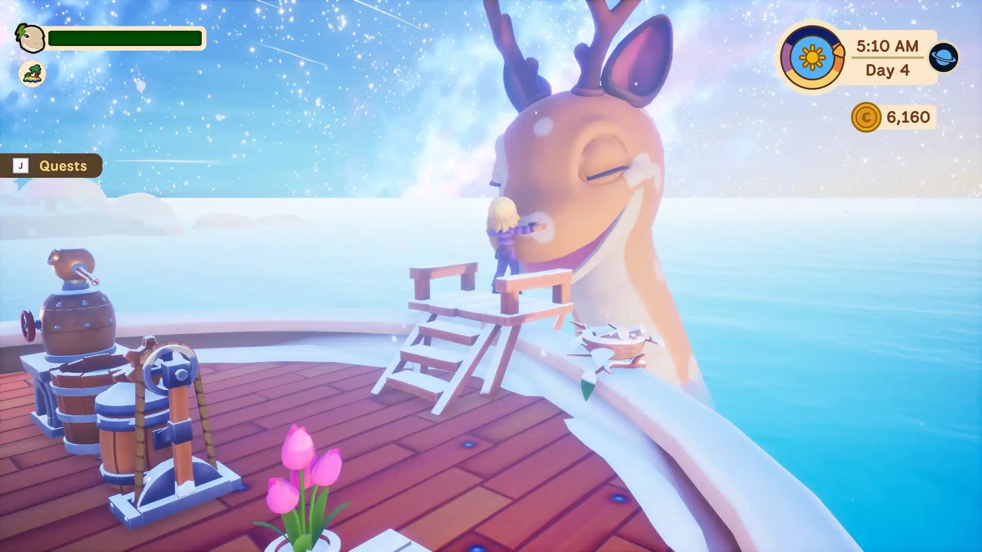 Collector's Cove media 1