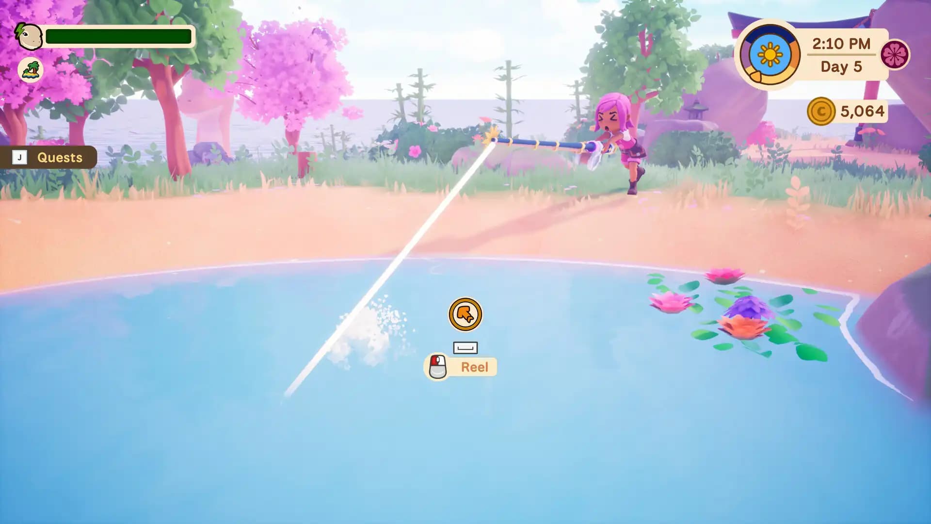 Collector's Cove media 3