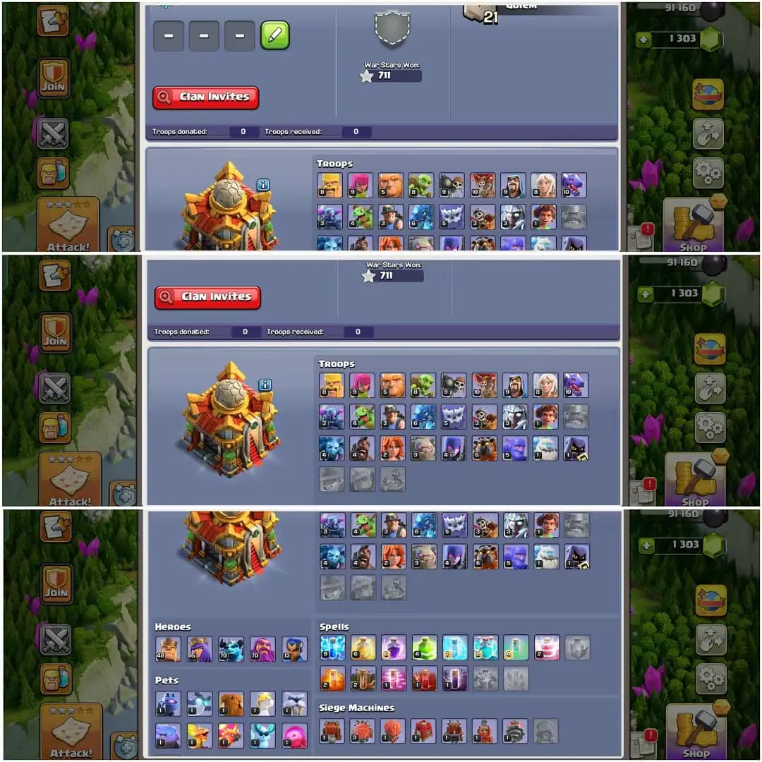 TH 16 VERY GOOD ACC✦10X PET✦HERO|48|95|70|70|13✦ HIGH HERO✦FREE NC✦WOW DFC✦GD PROFILE✦