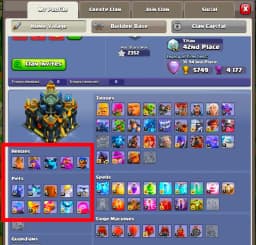 [Top Deal] Th17 Near Max [1 Epic Max/2 Epic 26 Lvl] 14x Skin | Heroes: 95-98-71-70-45 | Max Type Pets | High Dfc+ Wall | Xp-246 | Full Access