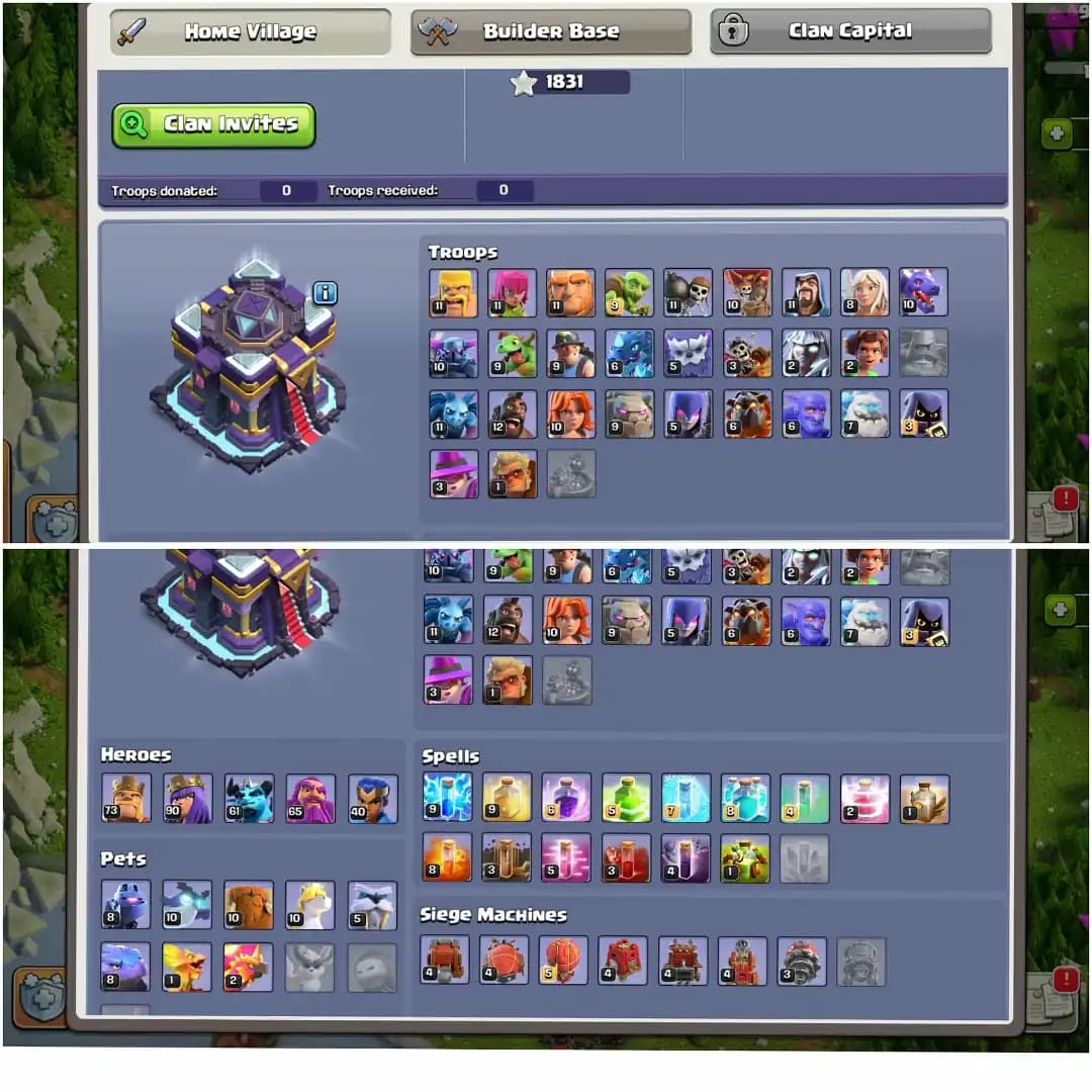 AWESOME TH 15 ACC✦DFC MAX TIPE✦HERO|73|90|61|65|40✦NC YES✦EPIC WOW✦3 HERO SKIN✦6B✦217 LEVEL✦PET SIEGE WOW