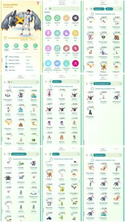R130 | Level50 | 147 Legendary | 61 Shiny | 12 Shiny Legend | 2 Shiny Dmax Legend | 2 Hundo Legend | 16 Mythical |