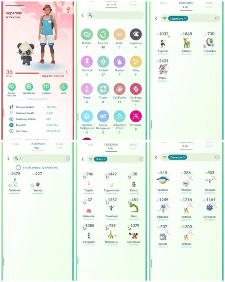 R99 | Level36 | 4 Legendary | Hundo Gardevoir | 8 Dmax | 9 Shiny | Shiny Toegtic | Palkia | Starter Account