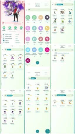 R94 | Level36 | 8 Legendary | 8 Shiny | Shadow Palkia | Shiny Charmendar | Mega Charizard | 9 Costume Pokemons | 8 Mythical |