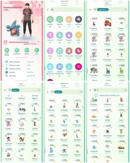 R88 | Level45 | 33 Legendary | 22 Shiny | Shiny Palkia | Shiny Gensect | 1 Shiny Dmax | 14 Hundo | 16 Costume Pokemons | Groudon |