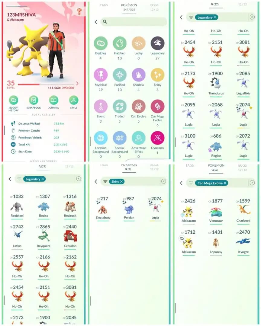 R84 | Level35 | 27 Legendary | 3 Shiny | Shiny Lugia | Rayquaza | Ho-oh | Mega Kyogre | Mega Charizard | Groudon | Stacked Account