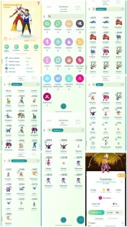 R81 | Level38 | 54 Legendary | 18 Shiny | 2 Shiny Legend | Shiny Zamazenta | Shiny Giratina | Mega Lucario | Shiny Dmax Special  |