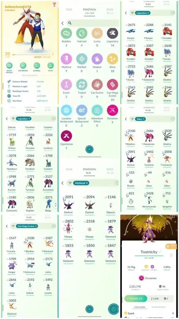 R81 | Level38 | 54 Legendary | 18 Shiny | 2 Shiny Legend | Shiny Zamazenta | Shiny Giratina | Mega Lucario | Shiny Dmax Special  |