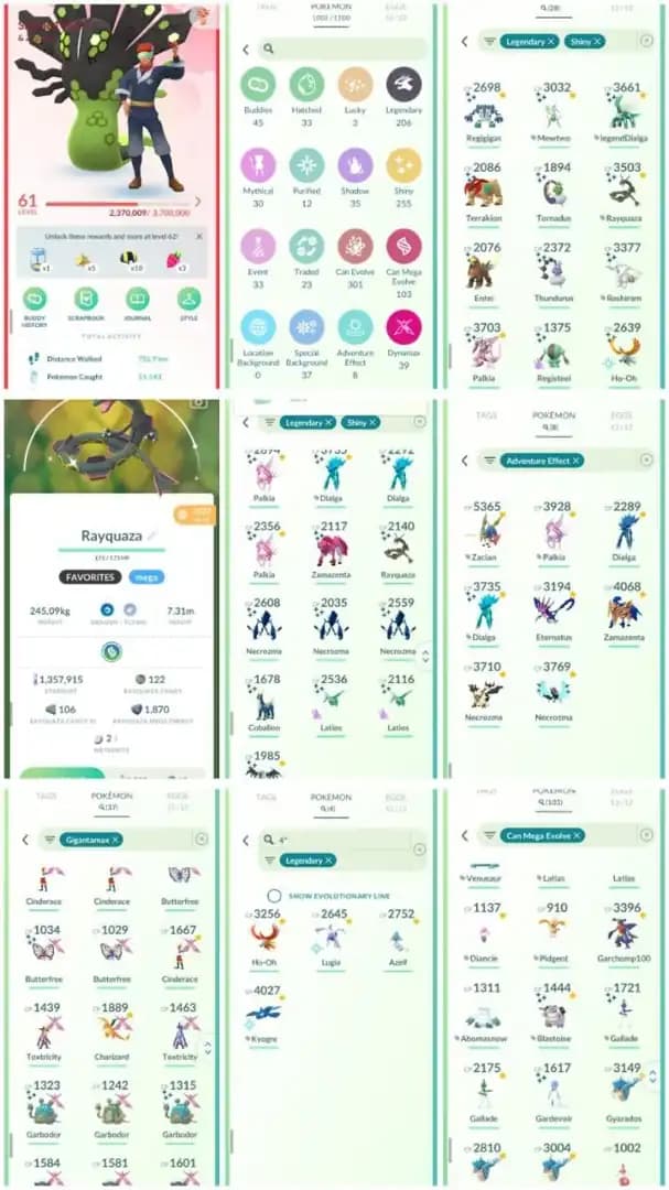 R78 | Level61 | 206 Legendary | 255 Shiny | 28 Shiny Legend | ROT Shiny Dailga | Sword Zacian | Shield Zamazenta | Shiny Mewtwo |
