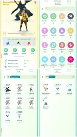 R67 | Level37 | 8 Legendary | 4 Shiny | Cosmong | Zekrom | Starter Account