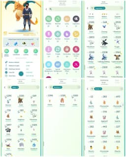 R62 | Level40 | 21 Legendary | 13 Shiny | 2 Shiny Legend | Shiny Reshiram | Shiny Entei | Shiny Celebi | Shiny Magikarp | Cosmong | Mewtwo |