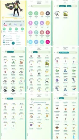 R56 | Level49 | 58 Legendary | 43 Shiny | 2 Shiny Legend | Shiny Rayquaza | Shiny Groudon | 8 Hundo | Shiny Celebi | Mewtwo | Zekrom |