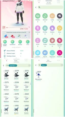 R46 | Level24 | 24 Legendary | 1 Shiny | Shiny Blacephalon | Zekrom | Reshiram | Kyurem | Starter Account