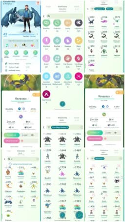 R44 | Level43 | 129 Legendary | 54 Shiny | 10 Shiny Legend | 2 Mega Shiny Rayquaza | Ultra Rare Shundo Deoxys | Mega Lucario | 2 Shiny Kyogre |