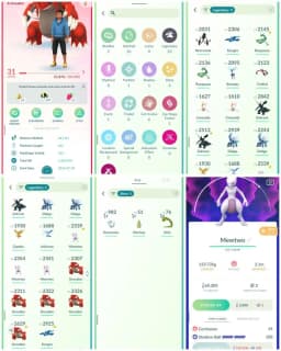 R36 | Level31 | 23 Legendary | 3 Shiny | 3 Mewtwo | Shiny Onix | Shiny Machop | Groudon | Kyogre | Zekrom | Rayquaza | Necrozma | Dailga |