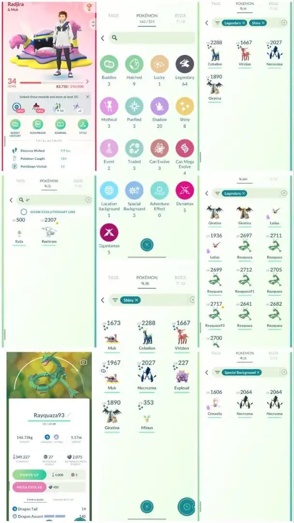 R33 | Level34 | 64 Legendary | 8 Shiny | 4 Shiny Legend | Hundo Reshiram | 2 Special Background Necrozma | Mega Rayquaza | Shiny Giratina |