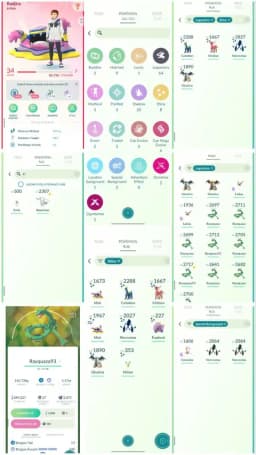 R33 | Level34 | 64 Legendary | 8 Shiny | 4 Shiny Legend | Hundo Reshiram | 2 Special Background Necrozma | Mega Rayquaza | Shiny Giratina |