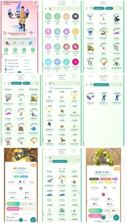 R32 | Level70 | 415 Legendary | 519 Shiny | 24 Shiny Legend | Almost Shundo Mega Rayquaza | Shundo Mega Groudon | Mega Shiny Lucario |