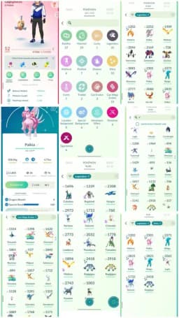 VF45 | Level52 | 35 Legendary | 50 Shiny | 8 Shiny Legend | 22 Hundo | 2 Hundo Legend | Hundo Lugia | Shiny Galar Moltress |