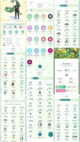 DB1 | Level41 | 46 Legendary | 72 Shiny | 3 Shiny Legend | 19 Hundo | Mega Rayquaza | Mega Hundo Lucario | Galar Moltress | 17 Costume |