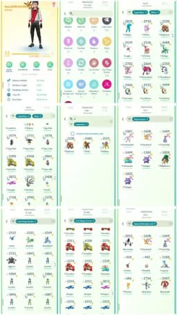 D8 | Level52 | 323 Legendary | 82 Shiny | 27 Shiny Legend | 2 Shiny Primal Groudon | Shiny Gmax | Shiny Mega Lucario | Shundo Regirock |