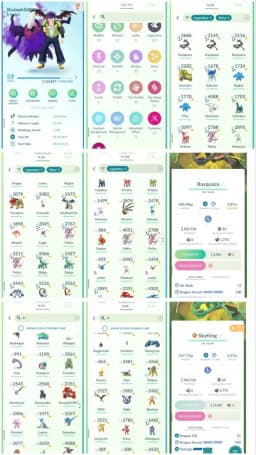 D7 | Level59 | 102 Legendary | 74 Shiny | 29 Shiny Legend  | 3 Shiny Rayquaza | Shiny Mewtwo | 92 Hundo | Shiny Groudon | Shiny Lugia |