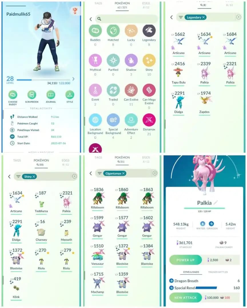 R23 | Level28 | 8 Legendary | 10 Shiny | 3 Shiny Legend | Shiny Special Rend Palkia | Shiny Gmax Blastoise | 2 Shiny Riolu |Shiny Dailga |