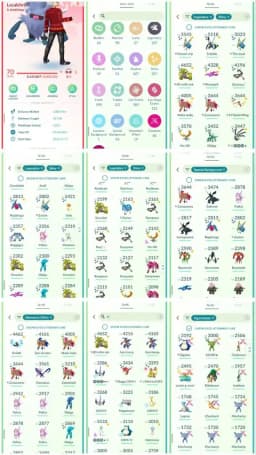 R141 | Level70 | 527 Legendary | 357 Shiny | 54 Shiny Legend | Ultra Rare Shundo Mega Groudon | Special Background Shiny Sword Zacian |