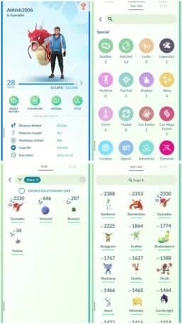 R146 | Level28 | 1 Legendary | 4 Shiny | Shiny Gyarados | Mini Account