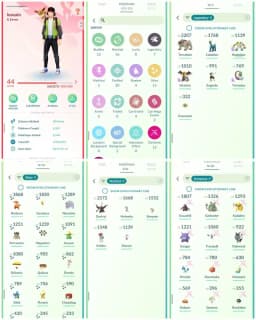 VJ14 | Level44 | 7 Legendary | 15 Shiny | Cosmeom | Dmax Gengar | Darkrai | Keldeo | Mini Account