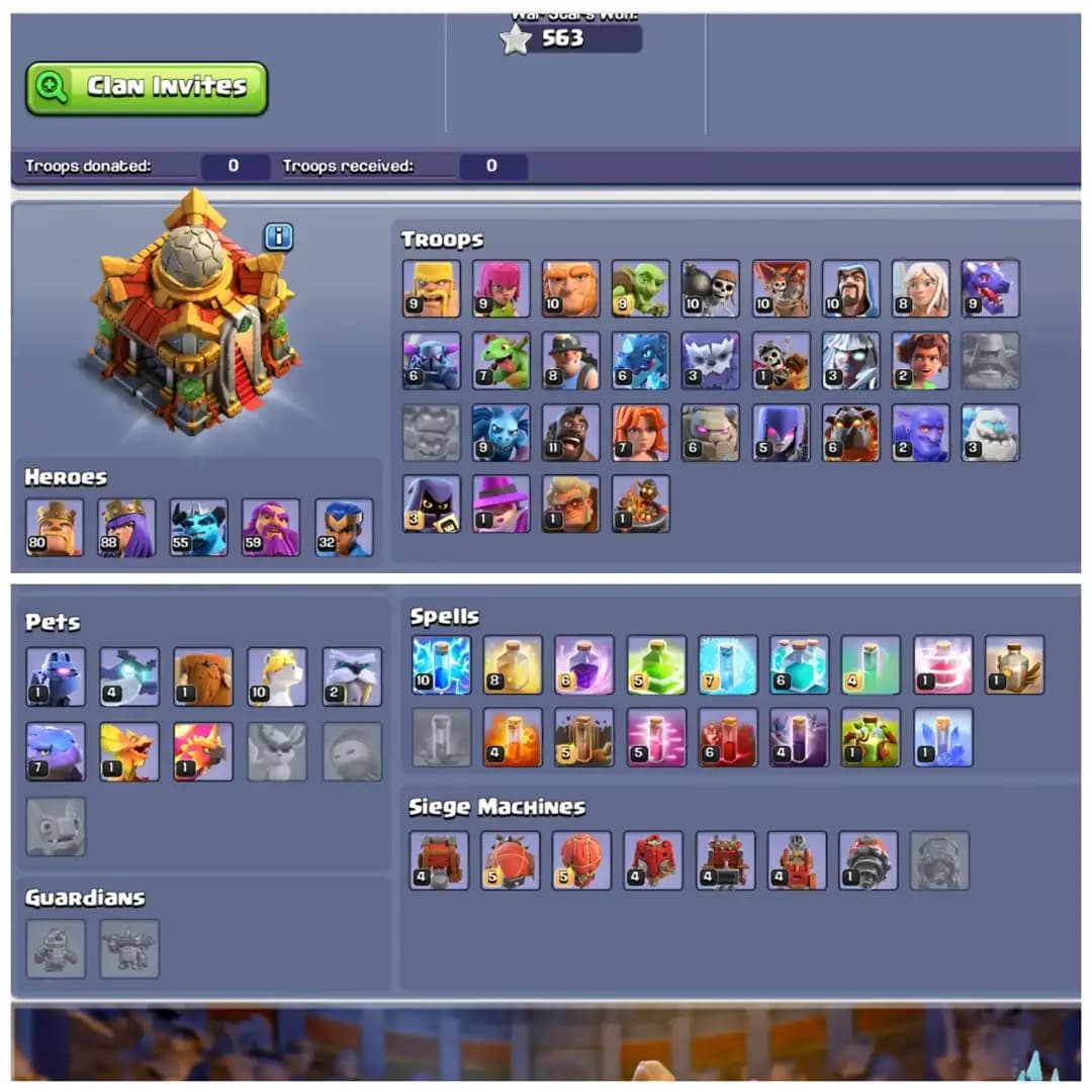 TH16 Premium Max Type | 2 Exclusive Scenaries & 10 Skins | Heroes: BK80 : AQ88 : MP55 : GW59 : RC32 | Fully Stacked& High Lvl Apprentice | Android/iOS